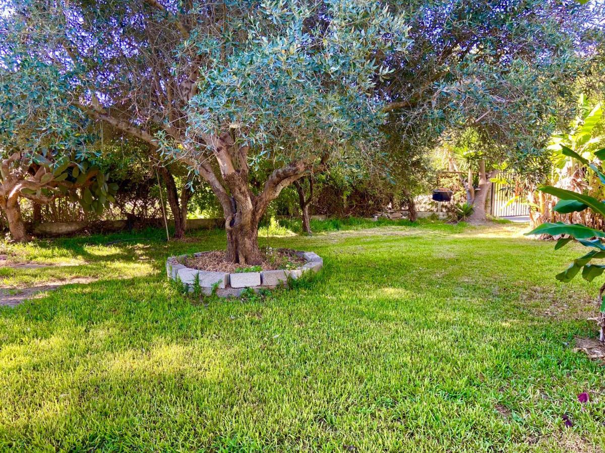 Amaliada Cottage House,With Big Garden & Lawn מראה חיצוני תמונה