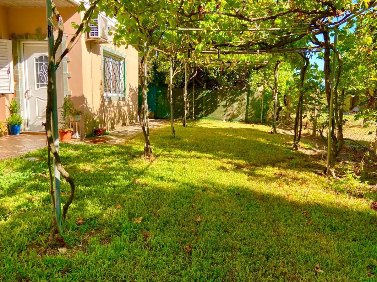 Amaliada Cottage House,With Big Garden & Lawn מראה חיצוני תמונה